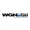 Dr. Paul Discussing KWML on WGN9 News (Part 1)