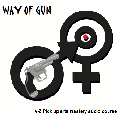 Way of Gun