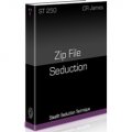 Zip File Seduction