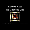 The Magnetic Grid