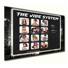 The Vibe System