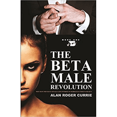 THE BETA MALE REVOLUTION: Why Many Men Have Totally Lost Interest in Marriage in Today's Society