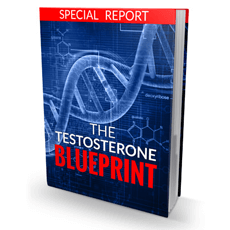 The Testosterone Blueprint