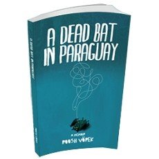 A Dead Bat In Paraguay: One Man's Peculiar Journey Through South America