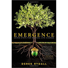 Emergence: Seven Steps for Radical Life Change