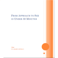 From Approach To Sex In Under 30 Minutes
